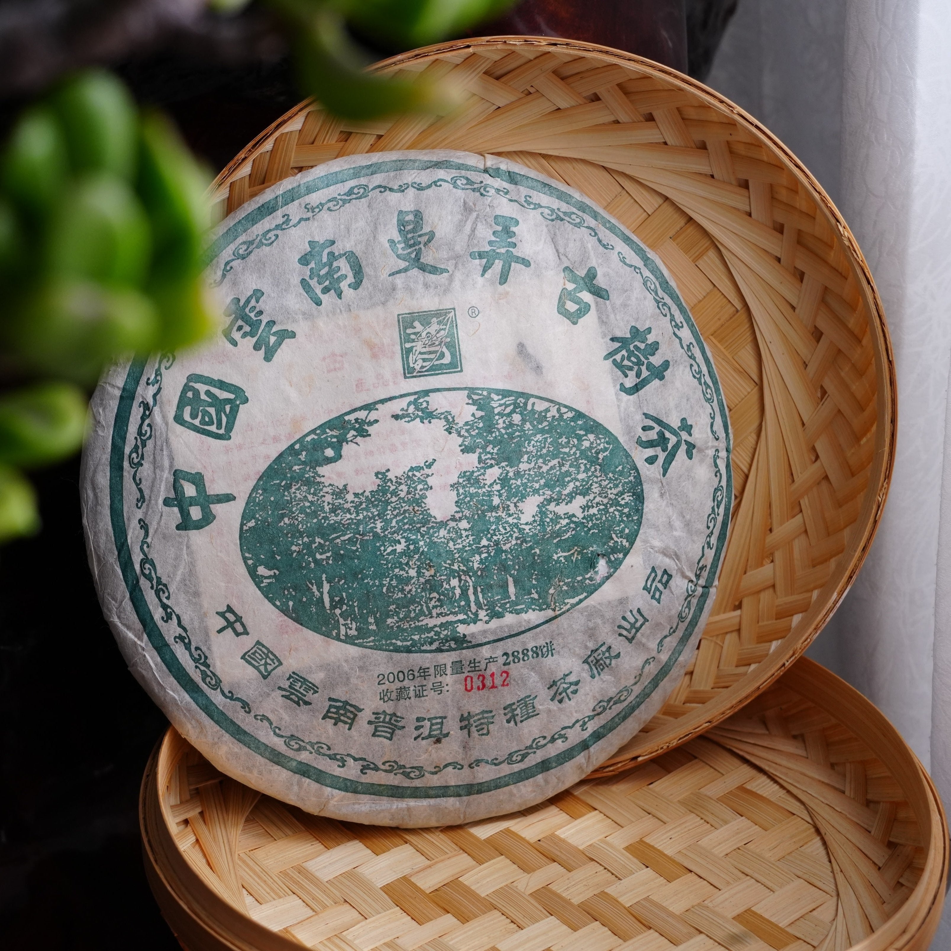 Best Sellers – YUSTEA